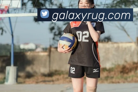 银河galaxy娱乐官网平台生态图